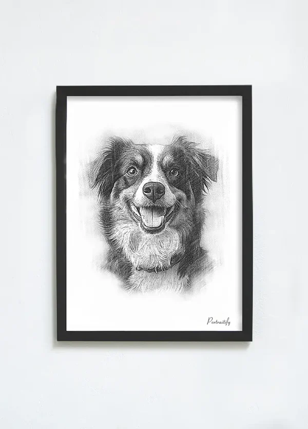 custom pencil sketch pet portrait